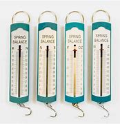 Spring Scale